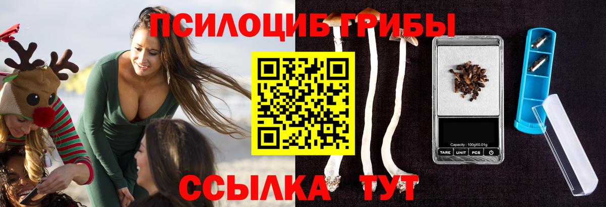 Псилоцибиновые грибы мухоморы  Великие Луки  цена   Галлюциногенные грибы Psilocybe 